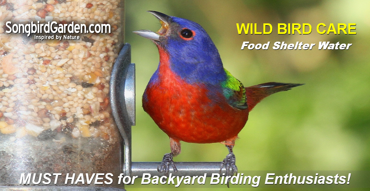 Wild Bird Care - Bird Feeders, Bird Houses, Bird Baths, Wild Bird Food