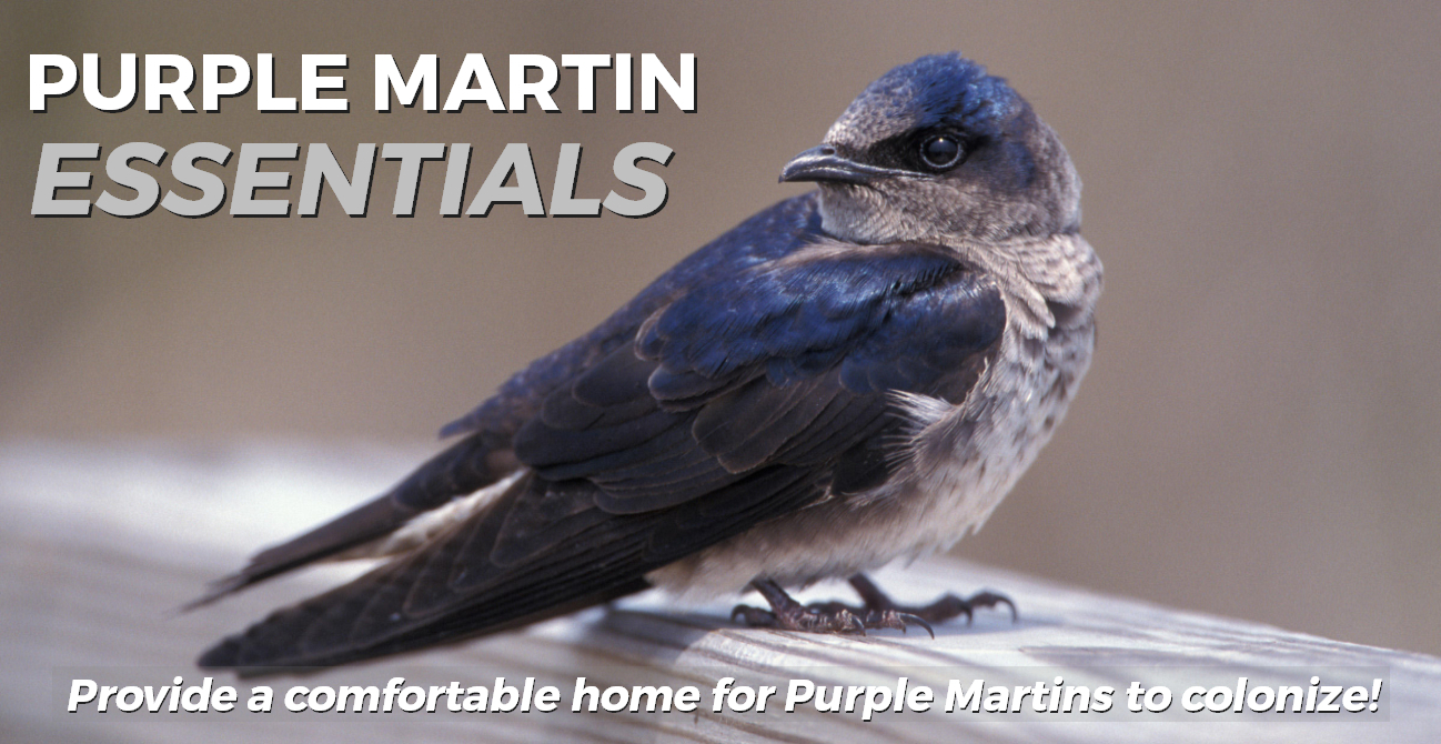 Purple Martin House Accessories