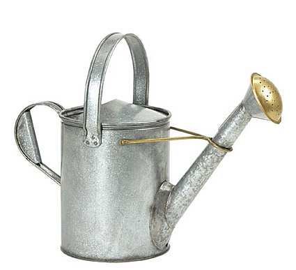 Achla Galvanized/Brass Short Necked Watering Can
