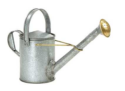 Achla Galvanized/Brass Long Necked Watering Can