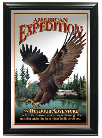Bald Eagle Framed Wildlife Wall Mirror