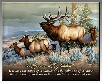 American Elk Inspirational Wildlife Wall Plaque