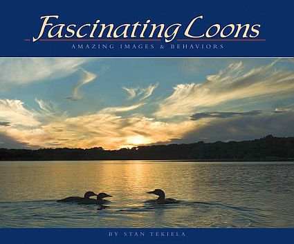 common loon range. Fascinating Loons