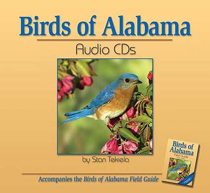 audio bird call identification of wild bird sounds bird audio bird call identification of wild bird sounds bird
