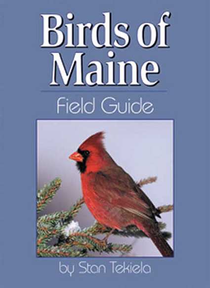 maine birds identification images maine birds identification images