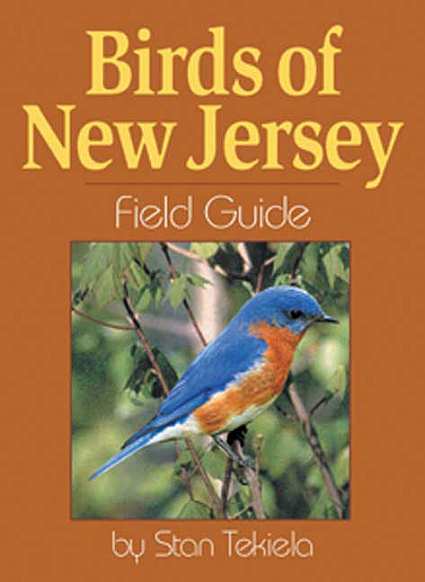 birds of new jersey field guide new jersey bird birds of new jersey field guide new jersey bird