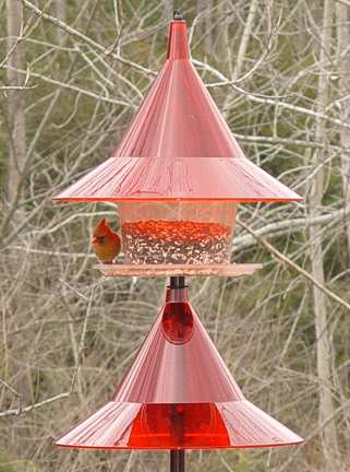 sky cafe red squirrel proof bird feeder w pole baffle sky cafe red squirrel proof bird feeder w pole baffle