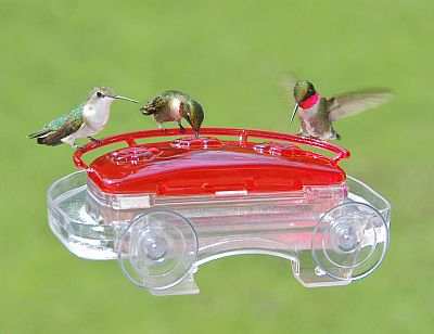 jewel box window hummingbird feeder suction cup window jewel box window hummingbird feeder suction cup window