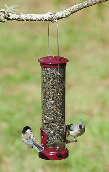aspects quick clean berry seed tube feeder small aspects quick clean berry seed tube feeder small