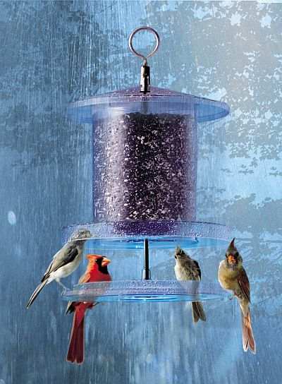 weatherproof all weather bird feeder clear 4 quart weatherproof all weather bird feeder clear 4 quart