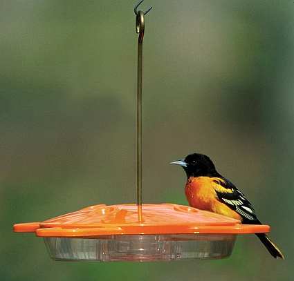 Aspects Oriole Feeder 16oz. Twin Pack