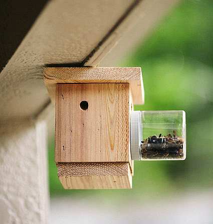 Carpenter Bee Trap Hanging