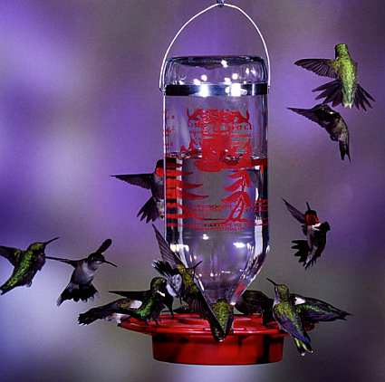 bottle hummingbird feeders bottle style hummingbird bottle hummingbird feeders bottle style hummingbird