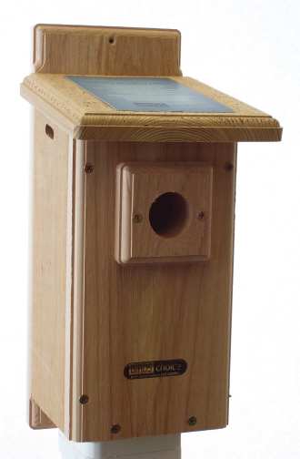 Birds Choice Side Open Eastern Bluebird House