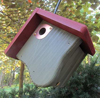 Bird House Plans