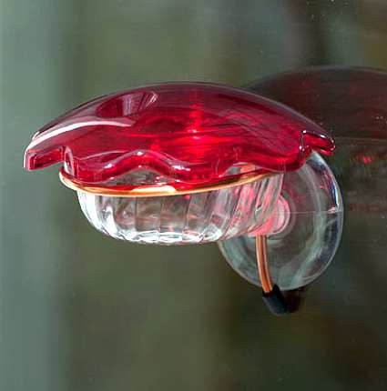 window mounted hummingbird feeders window hummingbird window mounted hummingbird feeders window hummingbird