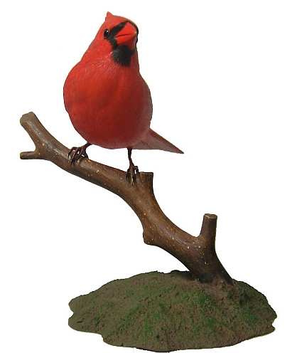 Backyard Classic Northern Cardinal Male