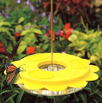 Flutterby Butterfly Feeder