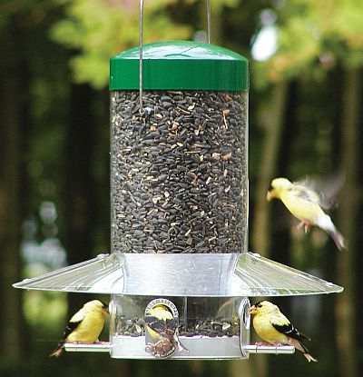 Classic Hanging 12" Bird Feeder with Weatherguard
