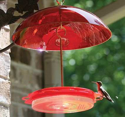 hummerfest hummingbird feeder w red dome saucer dish hummerfest hummingbird feeder w red dome saucer dish