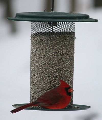 specialty bird feeders for feeding wild birds quality specialty bird feeders for feeding wild birds quality