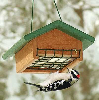 Second Nature Single Cake Upside Down Suet Feeder