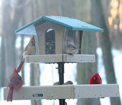 second nature ultimate bird feeder system recycled second nature ultimate bird feeder system recycled
