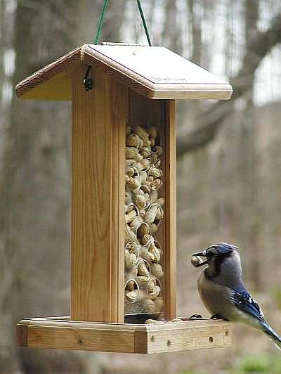 Wood Country Blue Jay Peanut Feeder, Peanut Feeder For Feeding Blue 