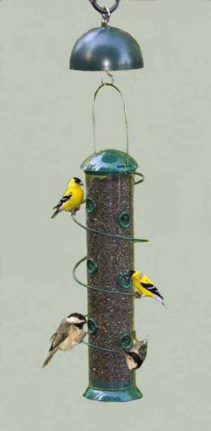 Bird Quest Super Twirl-A-Squirrel Plus 3 Qt Feeder