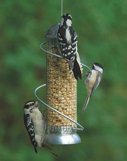 Bird Quest Mini Spiral Mesh Peanut Feeder