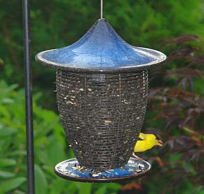 Alcyon Porcelain Bird Feeder Cobalt Blue