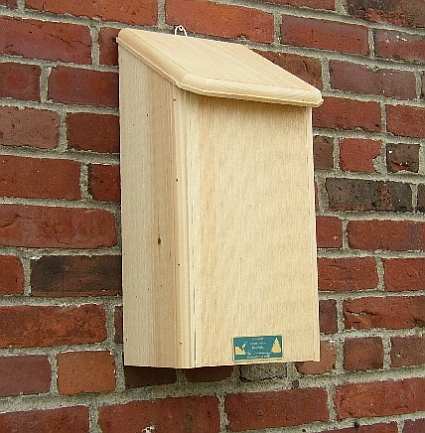 Conservation Bat Condominium