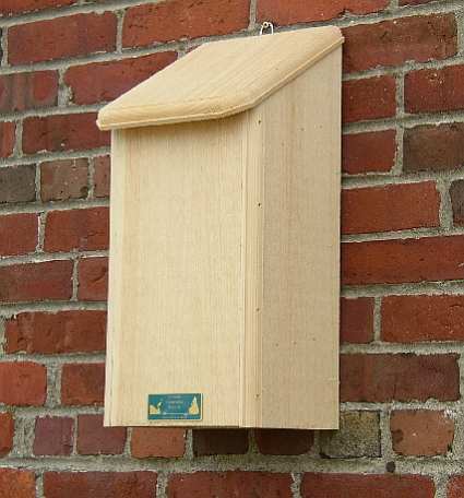 Conservation Bat Mansion