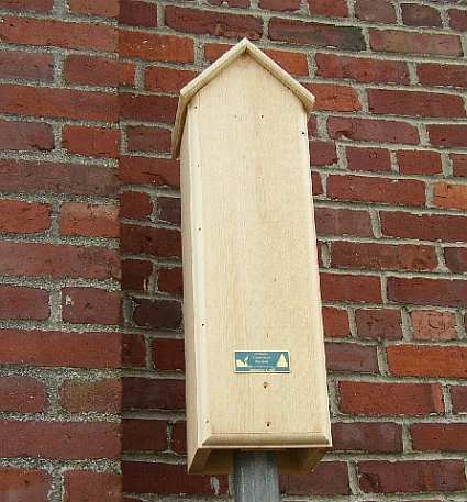 Conservation Bat Tower