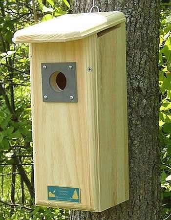 woodpecker house plans house plans home designs woodpecker house plans house plans home designs