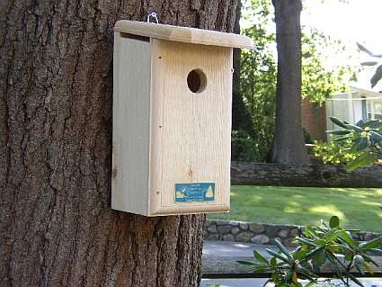 Finch Houses  Barn Swallow Houses  Quality Crafted Bird Houses For