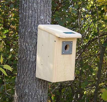 Conservation Backyard Birdhouse