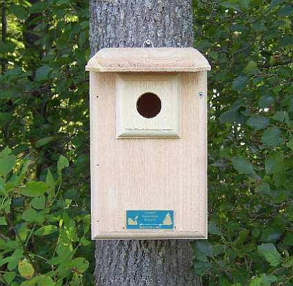 Conservation Eastern Bluebird House