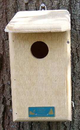 Conservation Flycatcher House