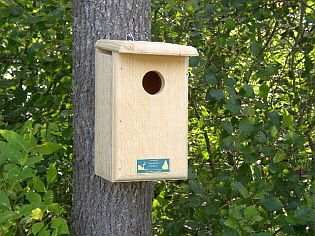 Conservation Saw-Whet/Screech Owl House