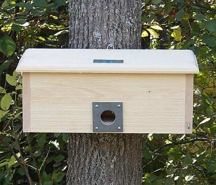 Conservation Horizontal Winter Roost