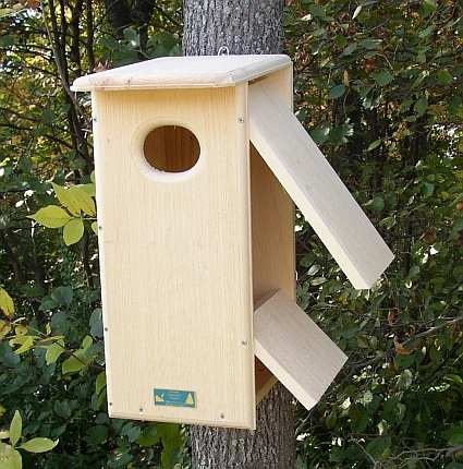 Dimensions for Wood Duck Nest Boxes