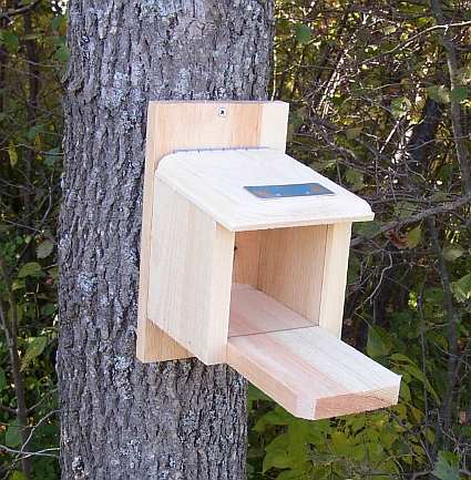 Conservation Peanut Box Squirrel Feeder