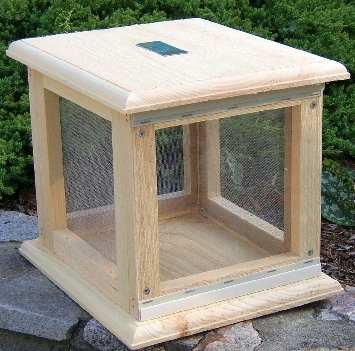 Conservation Butterfly Vivarium