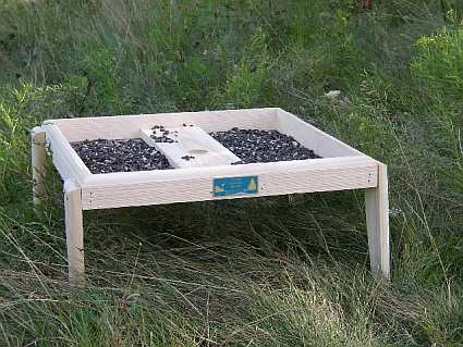 Conservation Large Screen Bird Feeder