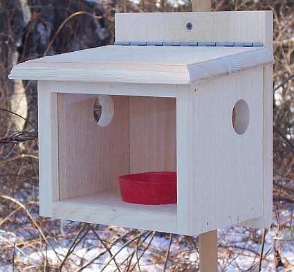 Conservation Deluxe Post Mount Bluebird Feeder