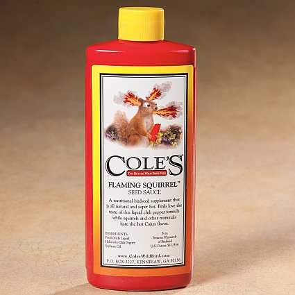 flaming squirrel seed sauce squirrel repellent bird seed flaming squirrel seed sauce squirrel repellent bird seed