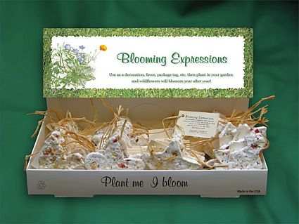 Blooming Expressions 48pc Christmas Ornaments