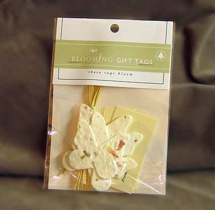 Blooming Expressions Gift Tags Butterfly Set of 10