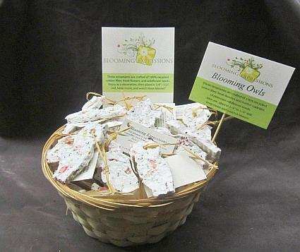 Blooming Expressions Basket of 50 Owls